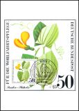 1980  Maximumkarten - Wohlfahrt. Ackerwildkräuter