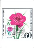 1980  Maximumkarten - Wohlfahrt. Ackerwildkräuter