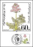 1981  Maximumkarten - Wohlfahrt
