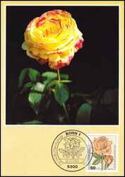 1982  Maximumkarten - Wohlfahrt: Gartenrosen