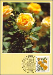 1982  Maximumkarten - Wohlfahrt: Gartenrosen