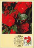 1982  Maximumkarten - Wohlfahrt: Gartenrosen