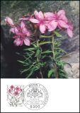 1983  Maximumkarten - Wohlfahrt: Alpenblumen