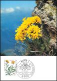 1983  Maximumkarten - Wohlfahrt: Alpenblumen