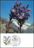 1983  Maximumkarten - Wohlfahrt: Alpenblumen