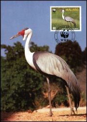 1987  Weltweiter Naturschutz WWF - Klunkerkranich (047)