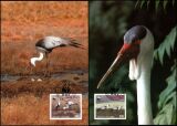 1987  Weltweiter Naturschutz WWF - Klunkerkranich (047)
