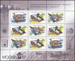1994  Enten