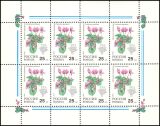1993  Zimmerpflanzen