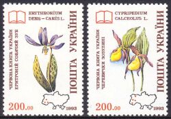 1994  Orchideen