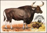 1986  Weltweiter Naturschutz WWF - Wildrinder (044)