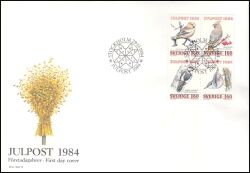 1984  Weihnachten: Überwinternde Vögel