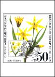 1980  Maximumkarten - Wohlfahrt