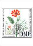 1980  Maximumkarten - Wohlfahrt