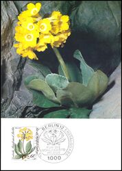 1983  Maximumkarten - Wohlfahrt: Alpenblumen