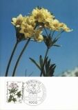 1983  Maximumkarten - Wohlfahrt: Alpenblumen