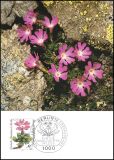 1983  Maximumkarten - Wohlfahrt: Alpenblumen