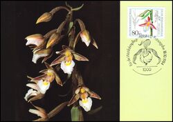 1984  Maximumkarten - Wohlfahrt: Orchideen