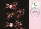 1984  Maximumkarten - Wohlfahrt: Orchideen