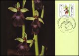 1984  Maximumkarten - Wohlfahrt: Orchideen