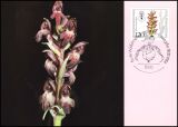 1984  Maximumkarten - Wohlfahrt: Orchideen
