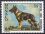 1973  Internationale Hundeausstellung