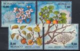 1994  Die vier Jahreszeiten - Aprikosenbaum