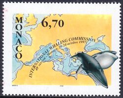 1997  Konferenz der intern. Walfang-Kommission