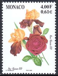 1999  Blumenzüchtungen