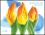 2003  Frühlingsblumen - Markenheftchen