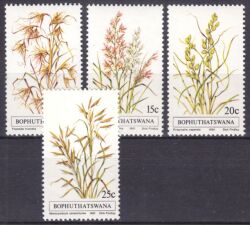 Bophuthatswana 1981  Gräser
