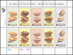 Südafrika 1995  Meeresschneckengehäuse