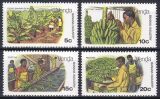 Venda 1980  Bananenanbau