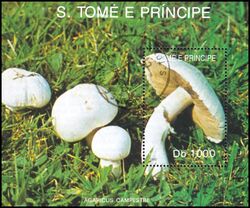 St. Tome & Prinzen 1992  Pilze