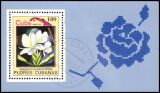 Kuba 1983  Blumen und Vögel