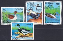 Kongo 1991  Wasservögel