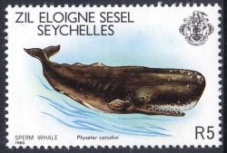 Äußere Seychellen 1980  Pottwal