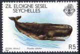 Äußere Seychellen 1980  Pottwal