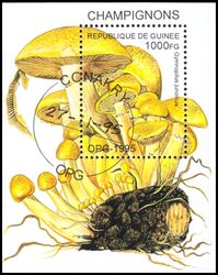 Guinea 1995  Pilze