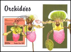 Laos 1997  Orchideen