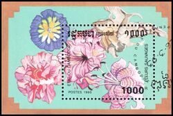 Kambodscha 1993  Wildblumen