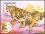 Kambodscha 1998  Chinesisches Neujahr: Jahr des Tigers