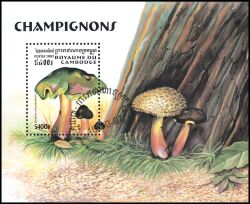 Kambodscha 1997  Pilze: Rotfußröhrling