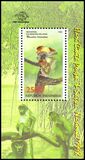 Indonesien 1998  Flora und Fauna: Nasenaffe