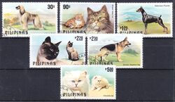Philippinen 1979  Hunde und Katzen