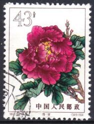 China 1964  Pfingstrosen