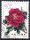 China 1964  Pfingstrosen