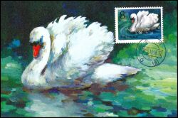 China 1983  Schwäne