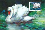 China 1983  Schwäne