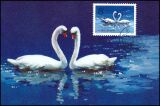 China 1983  Schwäne